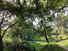 -张坝桂圆林公园