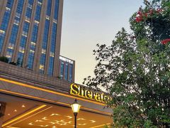 -郑州美盛喜来登大酒店
