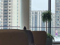 -杭州宝荣宝马·迷你4S店