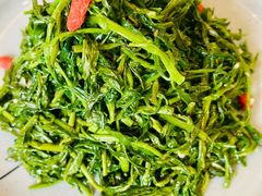 清香枸杞苗-国强手抓(西夏区店)