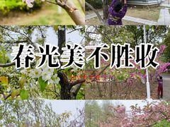 -白塘生态植物园