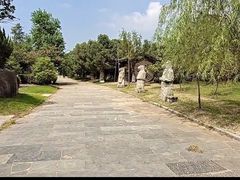 -杏花村文化旅游区