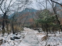 -青峰峡国家森林公园