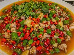 -飞虹鱼馆(春华路店)