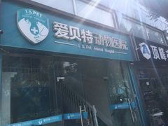 -爱贝特动物医院·猫口炎专科