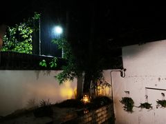 -宋宴(虎跑店)