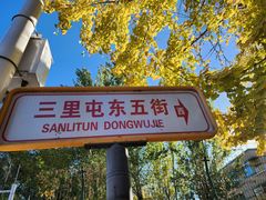 -三里屯东五街银杏大道