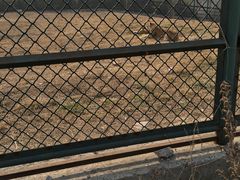 -宿豫区运河湾森林动物园