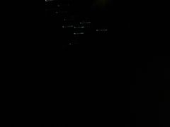 -怀托摩萤火虫洞