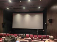 -百老汇电影中心(油麻地店)