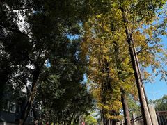 -江西财经大学(蛟桥园南校区)