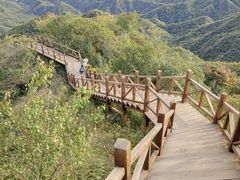 -大岭沟猕猴桃谷风景区