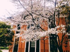 -上海交通大学医学院附属瑞金医院(总院)