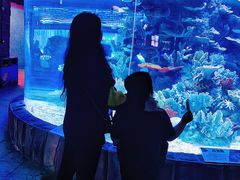 -左海海底世界