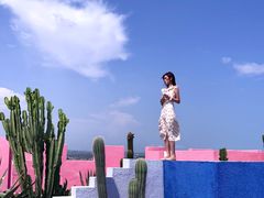 -漳州滨海火山岛自然生态风景区