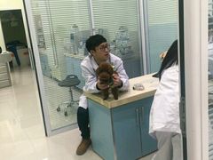 -悦宠凯宝动物医院·牙科·皮肤科(朝阳北路店)