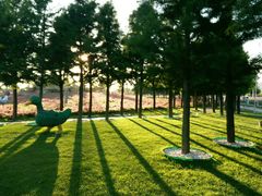 -羊亭河湿地公园