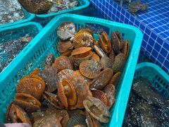 -车路士海鲜餐厅·本地人常驻·鲜捞现做(汕头南澳店)