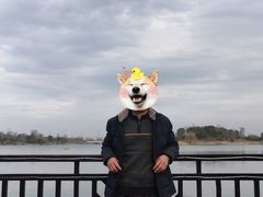 -桐乡凤凰湖