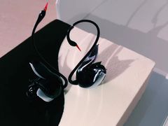 -BLACKSWAN黑天鹅(环球店)