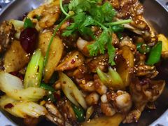 干锅牛蛙-金雨烧烤(新城南都店)