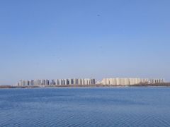 -丁香湖公园
