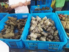 -召稼楼永茂昌粽子大王