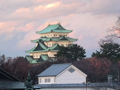 -名古屋城