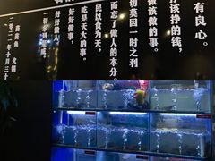-石锅苗苗鱼(武汉首店)