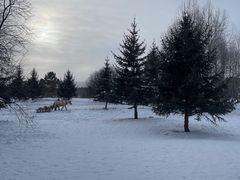 -北极村旅游风景区