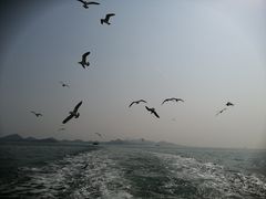 -海驴岛(荣成市)