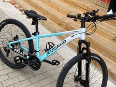 -道路口单车爱瓦士dahon大行