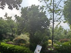 -腾冲洞山温泉村