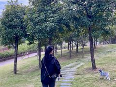 -那考河湿地公园