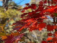 -长春市南湖公园