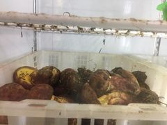 -双喜农庄·菌香园(安居家园店)