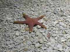 -多彩贵州城极地海洋世界