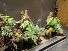 -梅间堂茶馆(绿地缤纷城店)