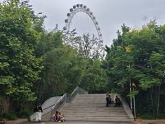 -日照海滨国家森林公园
