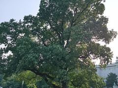 -东京国立博物馆