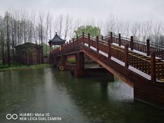 -溱湖国家湿地公园