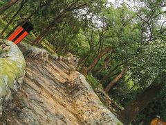 -阳台山自然风景区