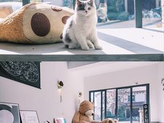 -西湖游船