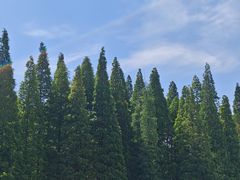 -宜兴龙背山森林公园
