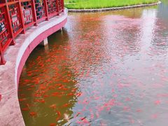 -西海子公园