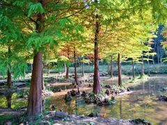 -南京市无想山景区