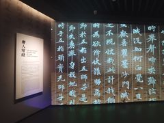 -四川大学博物馆
