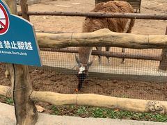 -西安秦岭野生动物园