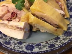 -九斤黄三黄鸡专卖店