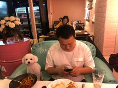 -百好乐宠物友好餐厅(朝外大街店)